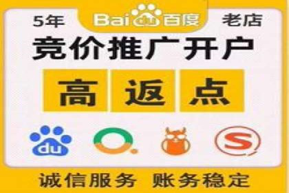 竞价代运营在SEM推广中的应用与效果评估